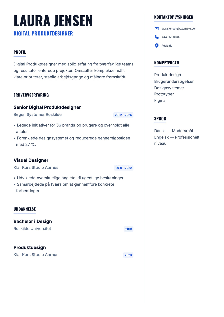 Blue Founder resume preview