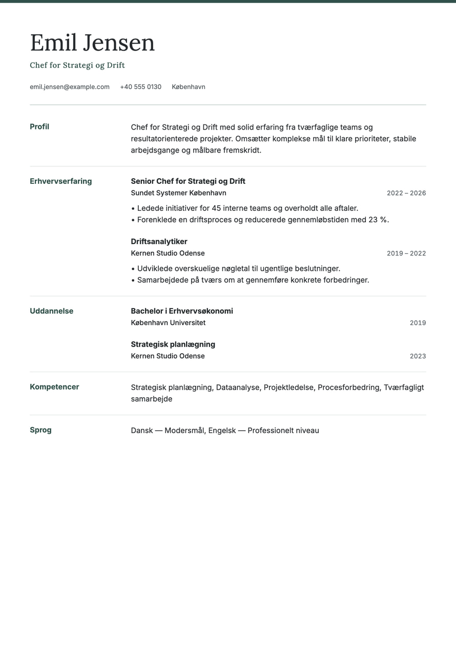 Meridian resume preview