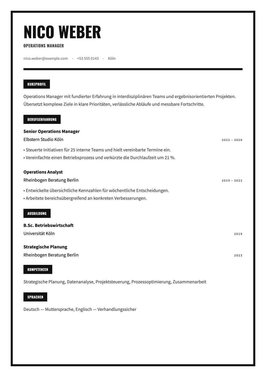 Monochrome Frame resume preview