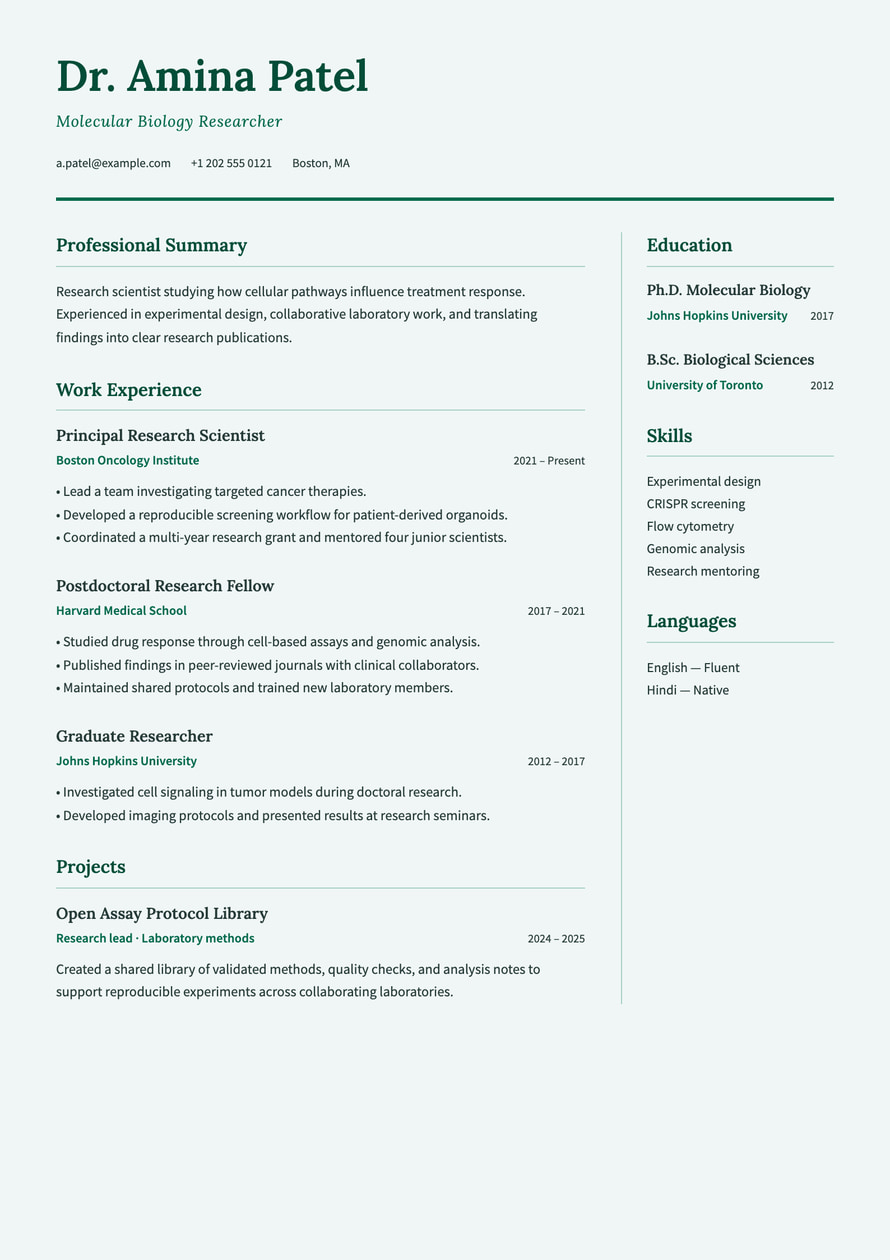 Research Academic resume preview