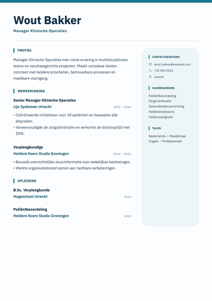 Clinical Precision resume preview