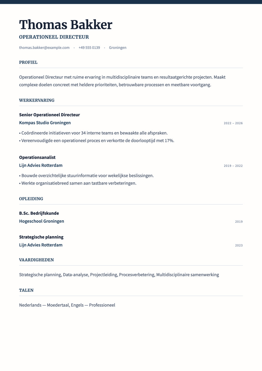 Executive Ledger resume preview