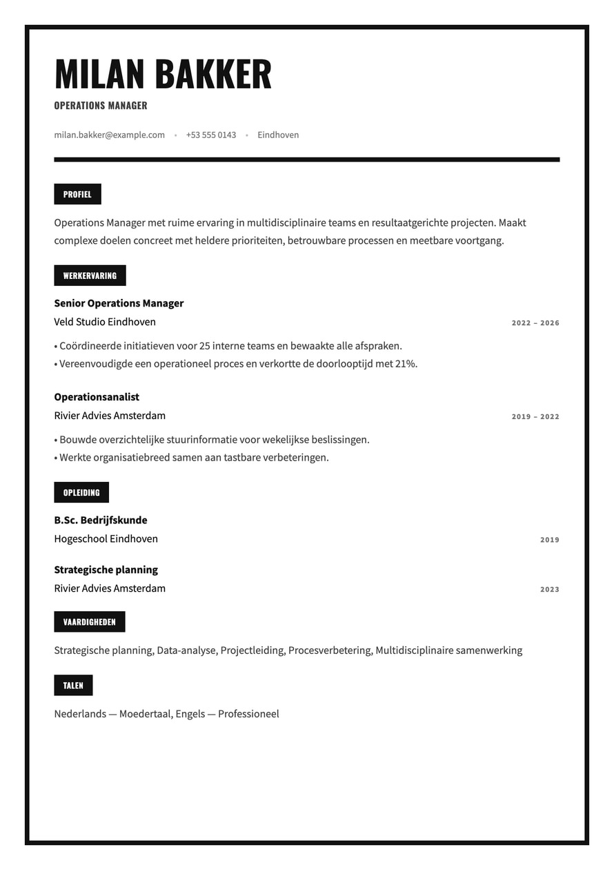 Monochrome Frame resume preview