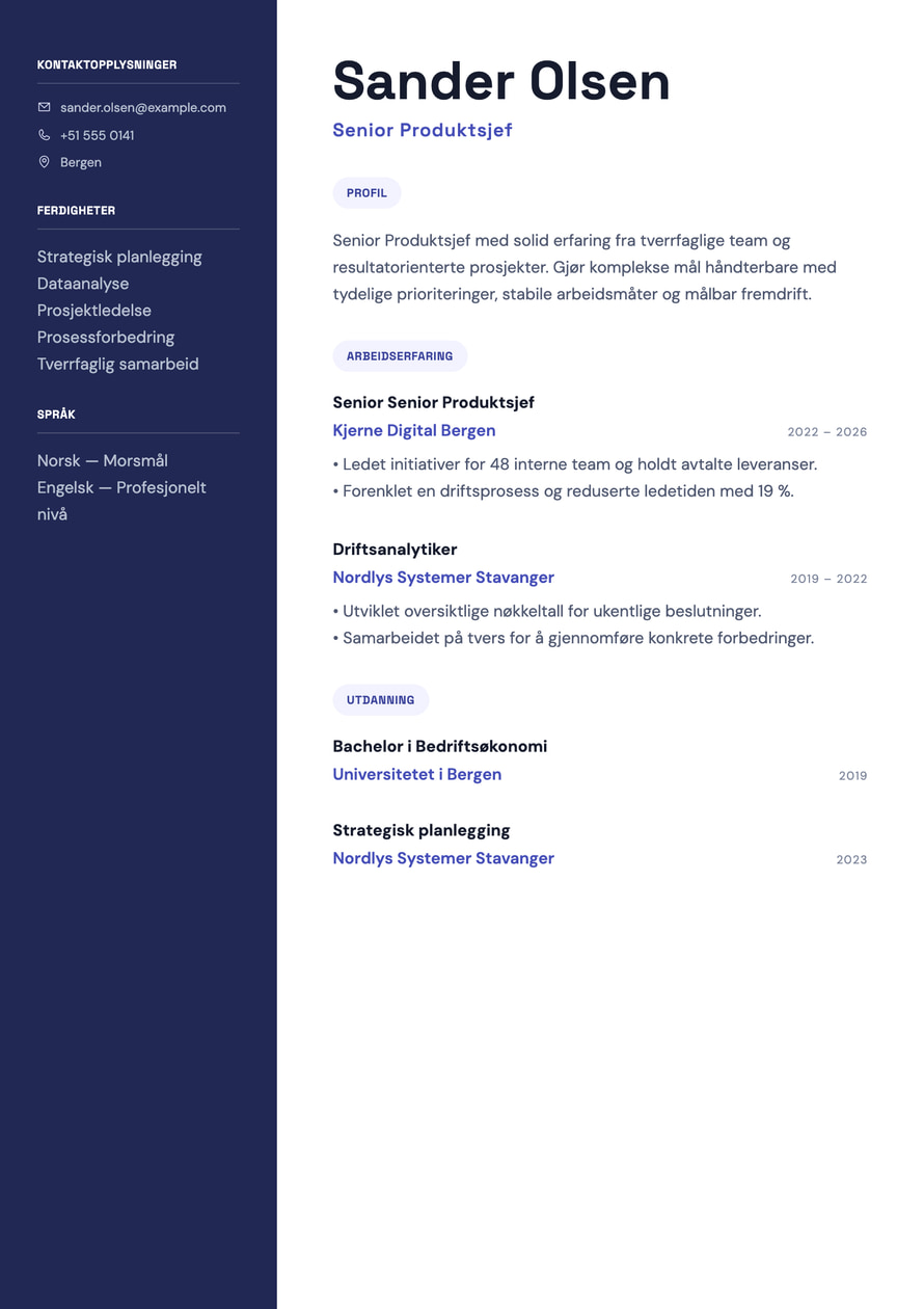Product Strategy resume preview