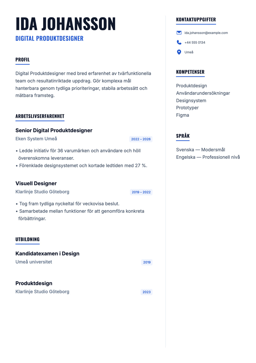 Blue Founder resume preview