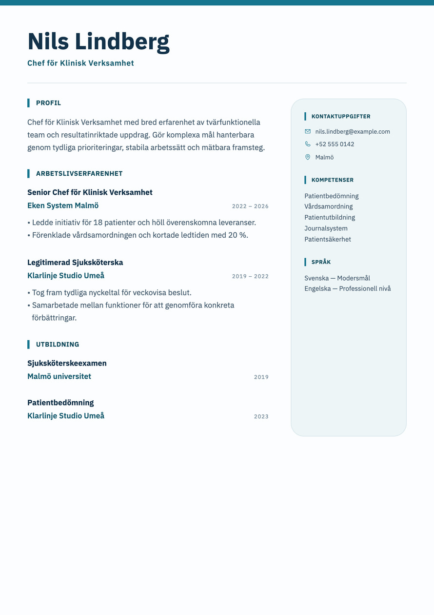 Clinical Precision resume preview