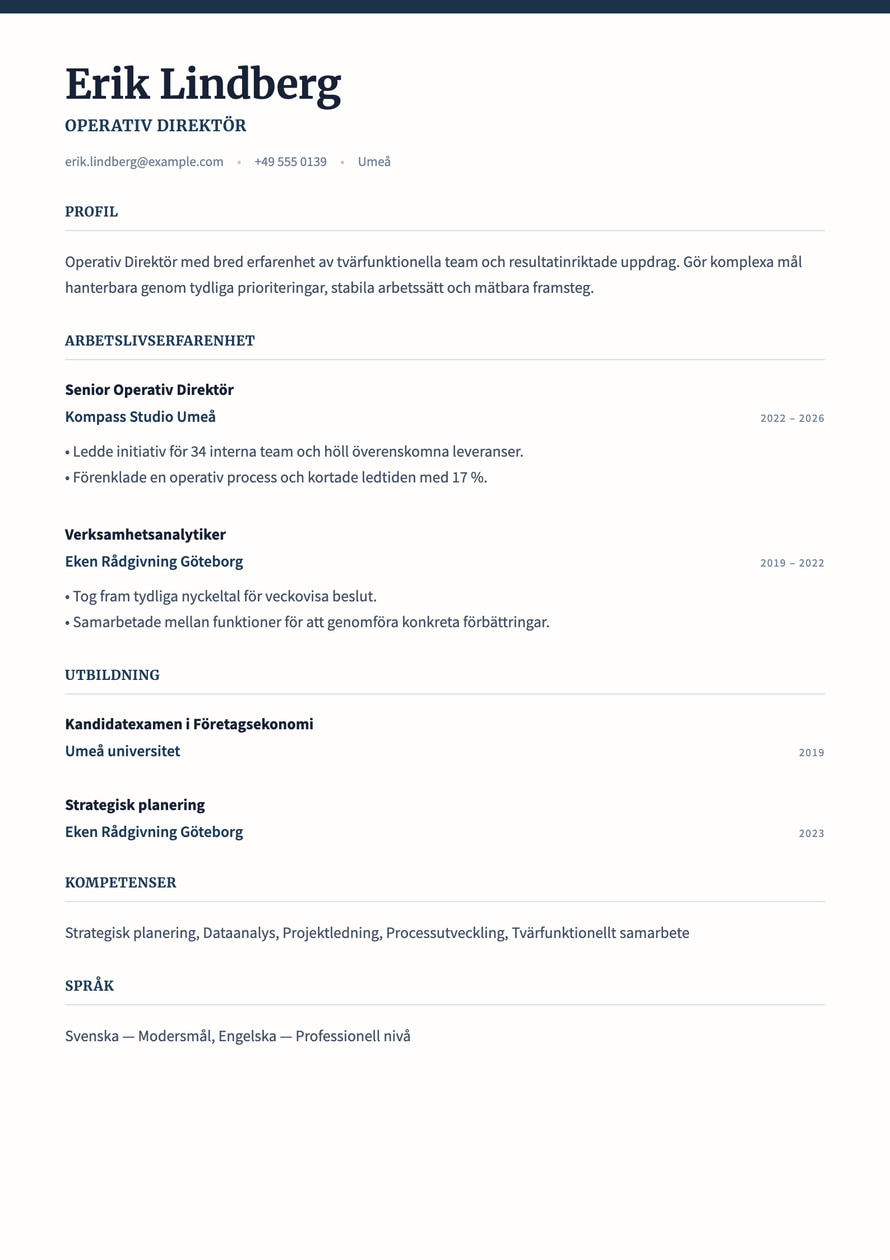 Executive Ledger resume preview