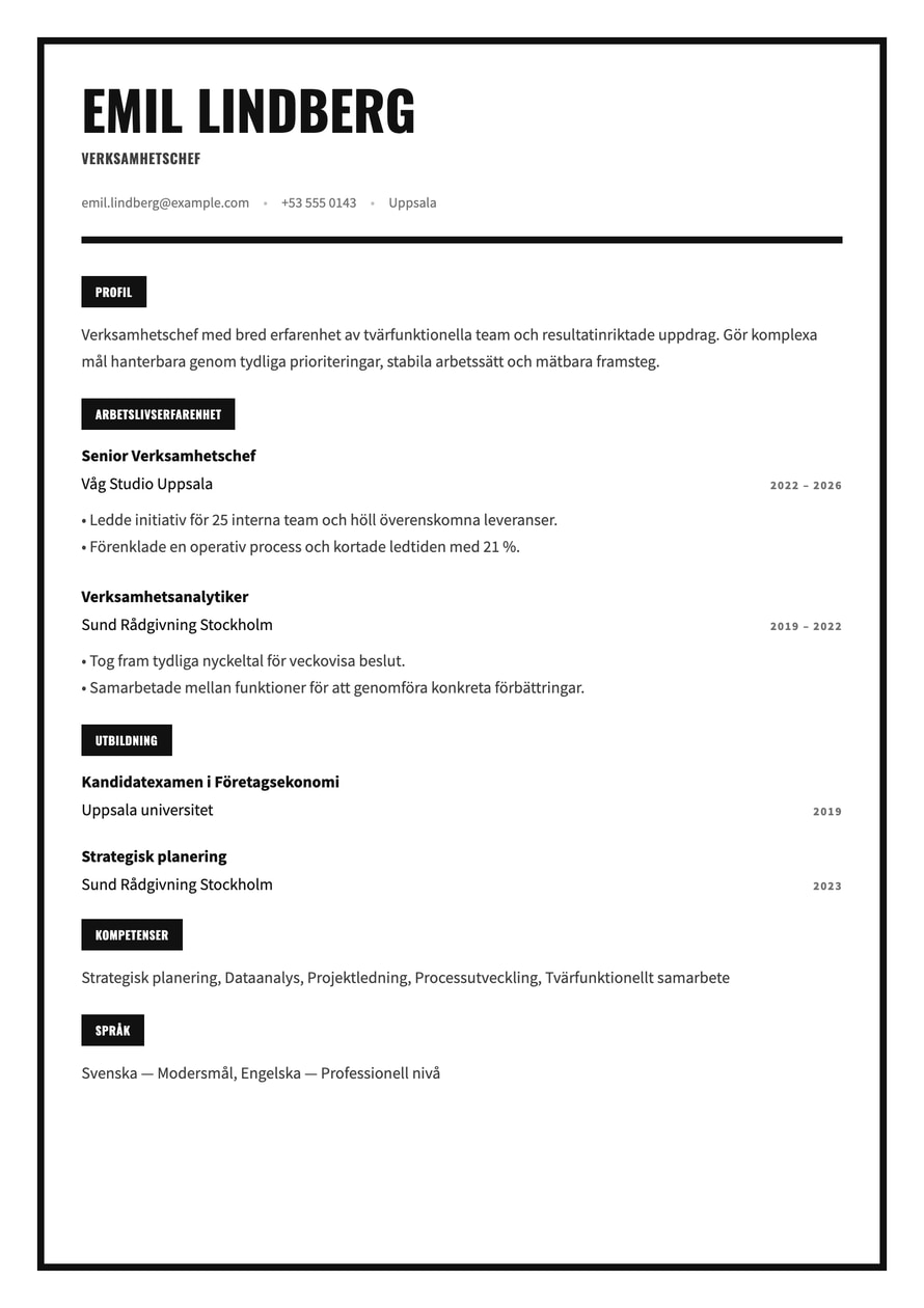 Monochrome Frame resume preview
