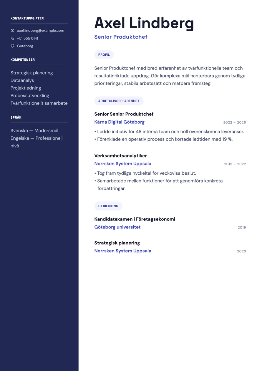 Product Strategy resume preview