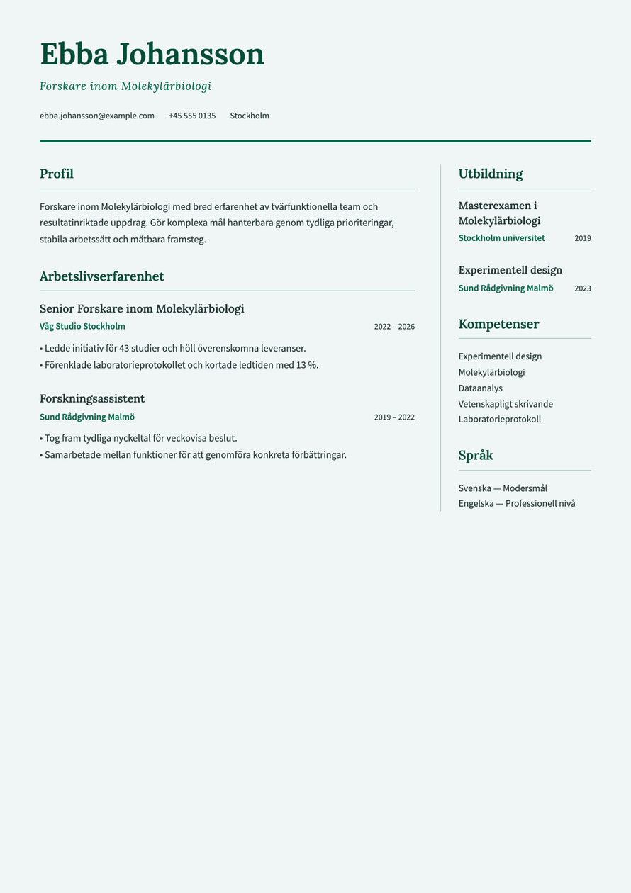 Research Academic resume preview