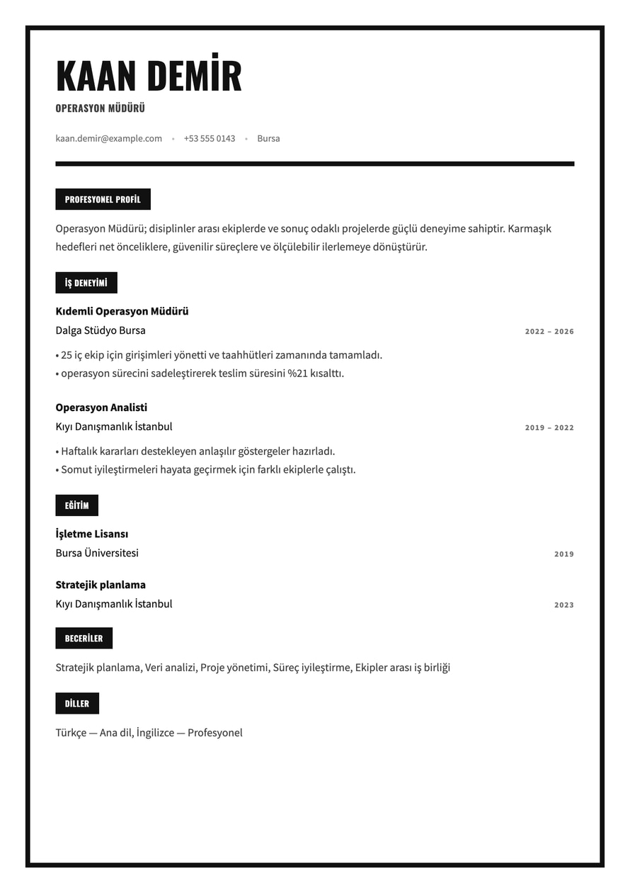 Monochrome Frame resume preview