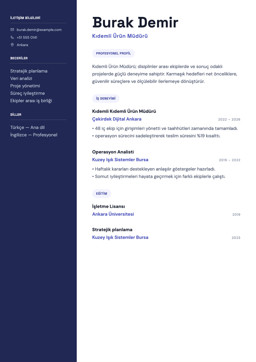 Product Strategy resume preview
