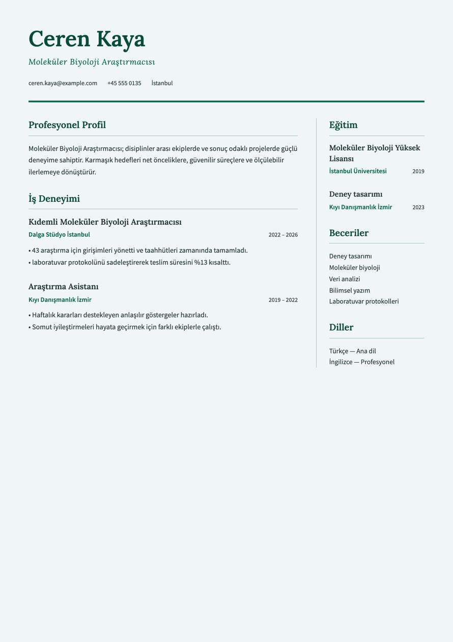 Research Academic resume preview